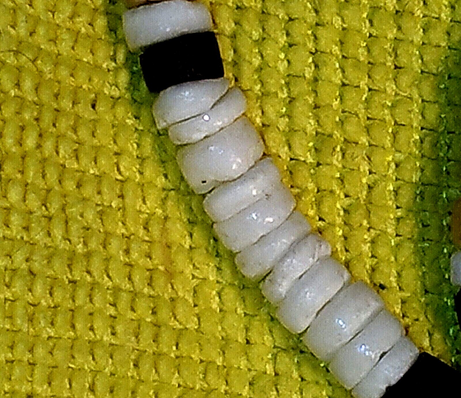 Picture 10 of 11