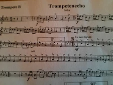 Original sheet music editions by Slavko Avsenik and other well-known Oberkrainer groups