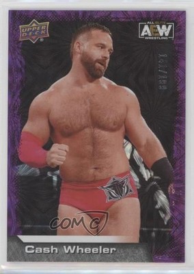 2022 AEW All Elite Wrestling Purple Pyro /199 Dash Wilder Cash Wheeler #44 1k07