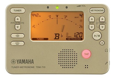 Yamaha Tdm710