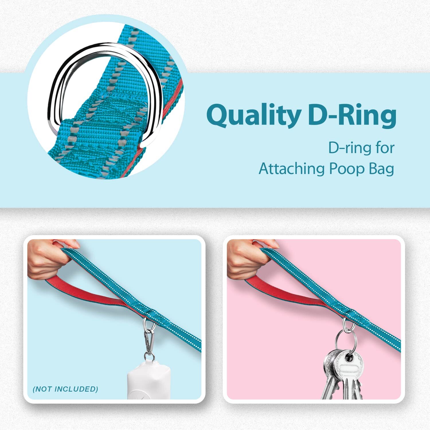 5 Feet Dog Leash with Comfortable Padded Handle Easy Snap Clasp - Reflective ...