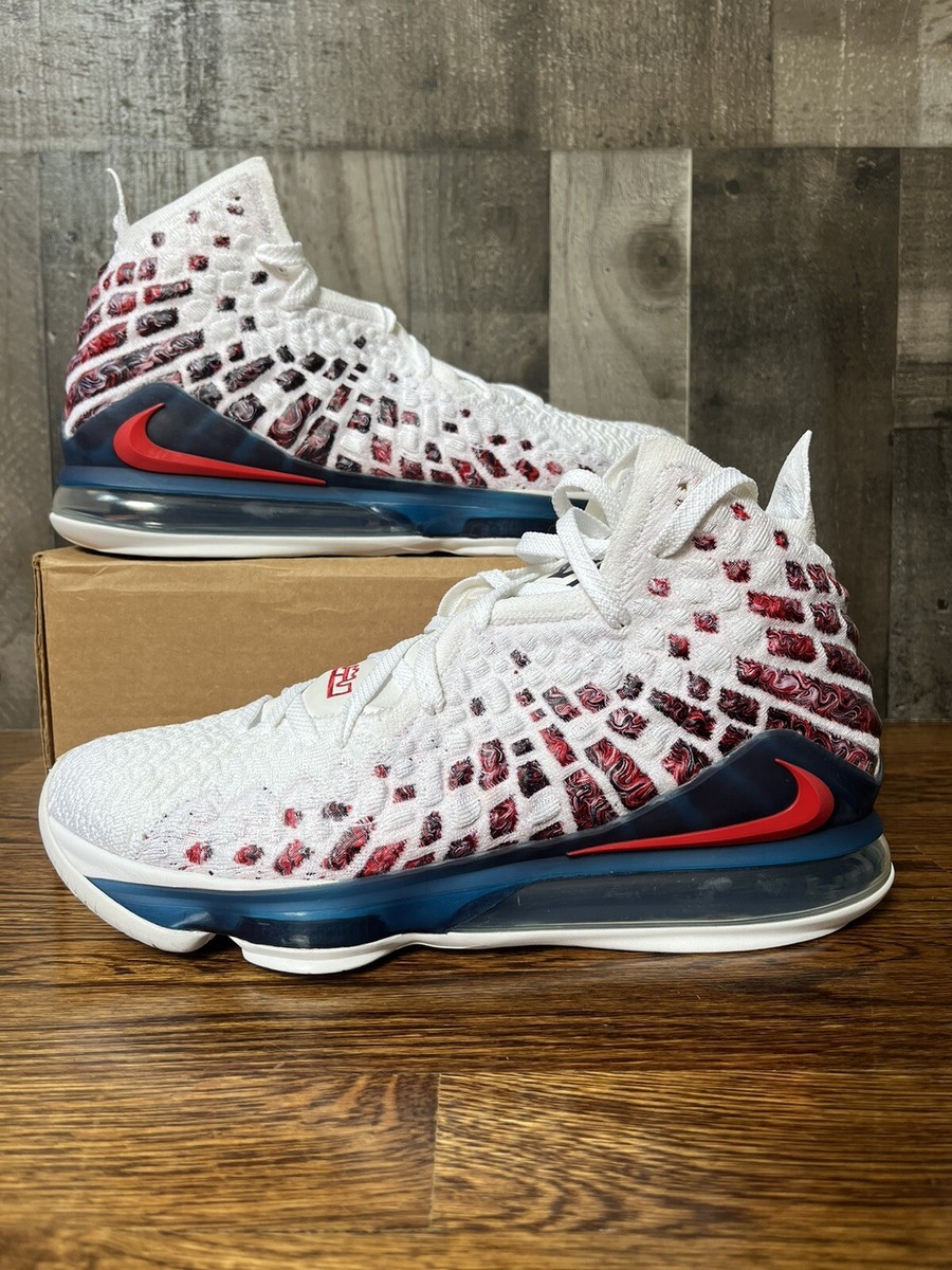 Shoe Brands Top 10 Best Basketball Shoes 2021 Nike LeBron 17 PE