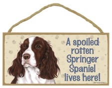 A Spoiled Rotten Springer Spaniel lives here Dog Sign 5"x10" Wood Plaque USA 110