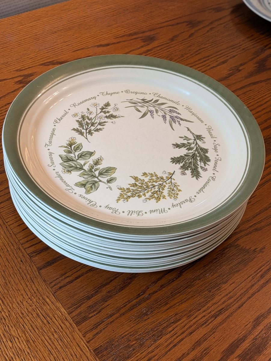 Corelle Thymeless Herbs set of 17 Dinner Plates Corning