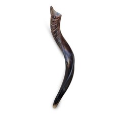 Yemenite Kudu Horn Shofar 20''-22'' New KOSHER Made in Jerusalem Free Shipping 