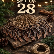 28 Lucky Horseshoe Decor Wedding Favors Bras Color Art Craft Decor Rustic