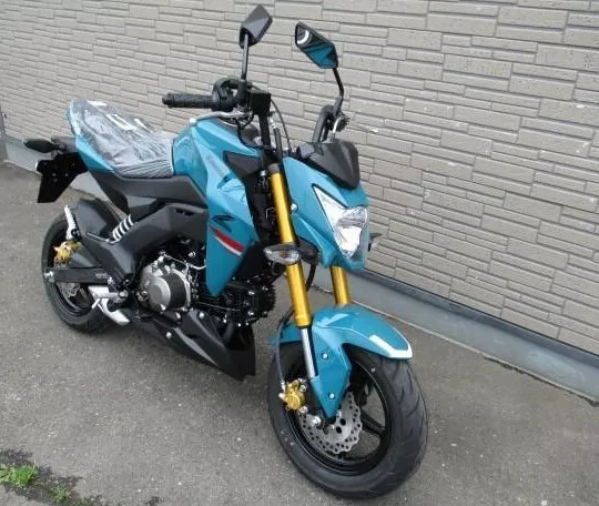 2021 kawasaki z125 pro outlet