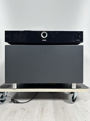 Loewe Individual Sound Aktiv Subwoofer & DVD Player in Top Zustand!