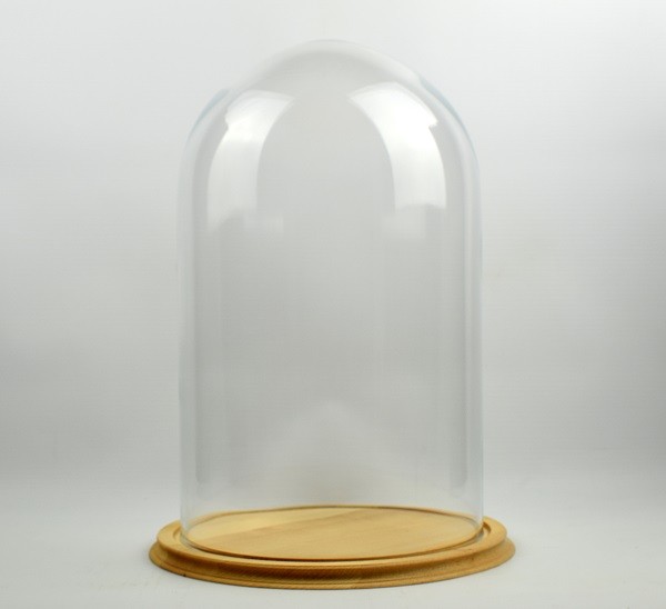 Clear Circular Glass Dome With Natural Vintage Wooden Base H:40x 25 cm
