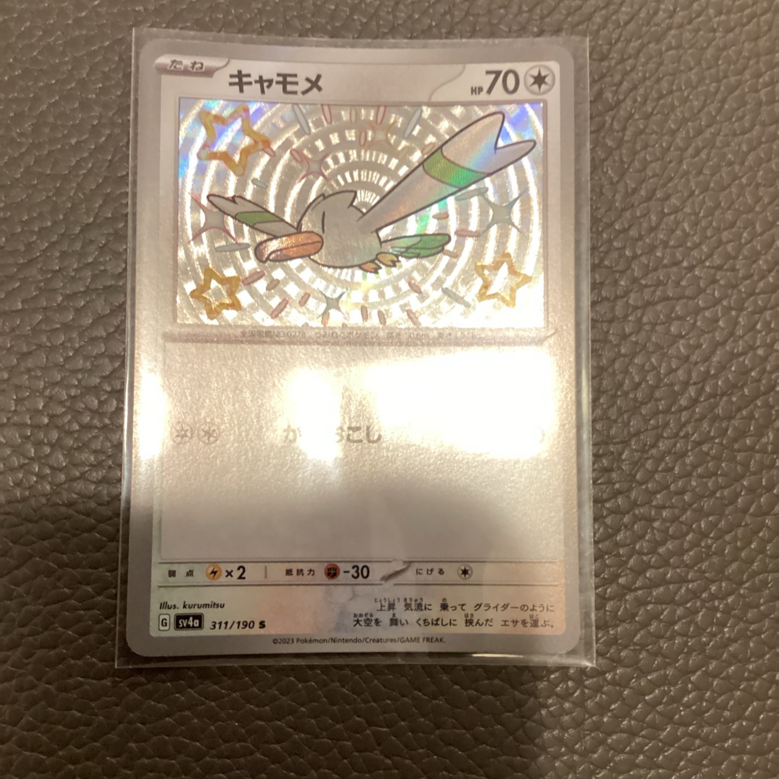 Pokemon TCG Wingull Sv4a Shiny Treasure ex 311/190 Shiny Rare Holo JP 2023 70HP