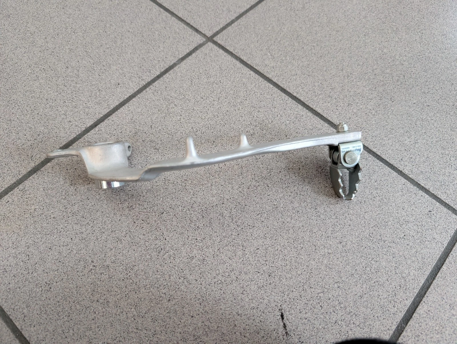 DESCRIZIONE DELL'IMMAGINE