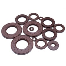 FKM Oil Seals Rotary Shaft Seal TC Double Lip w/Spring Dust Grease ID 62-75 mm