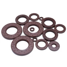 FKM TC Oil Seals Double Lip Rotary Shaft Seal Spring Dust Proof ID 41-50mm 2Pcs