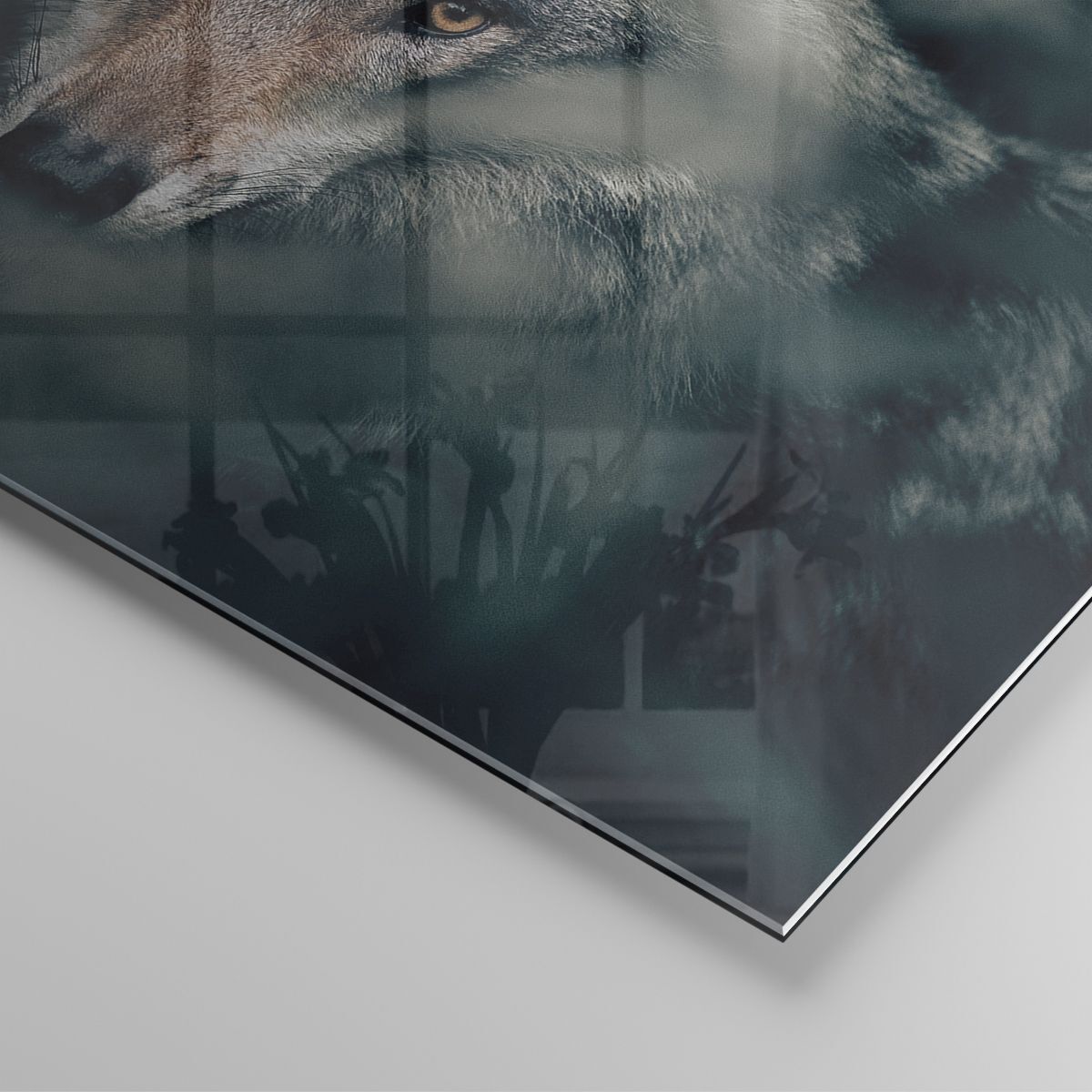 Impression sur Verre 125x70cm Tableaux Image Photo Blanc Loup