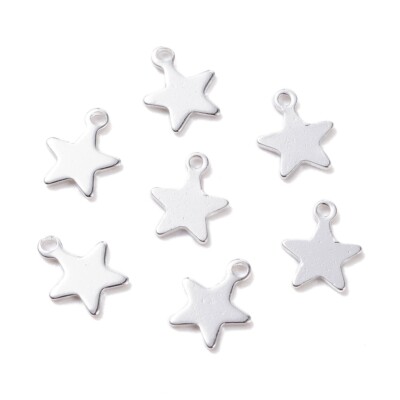  100 Stck. Edelstahl Winzig Doppelseitige Etikett Anhänger Charms Silber 10x8mm