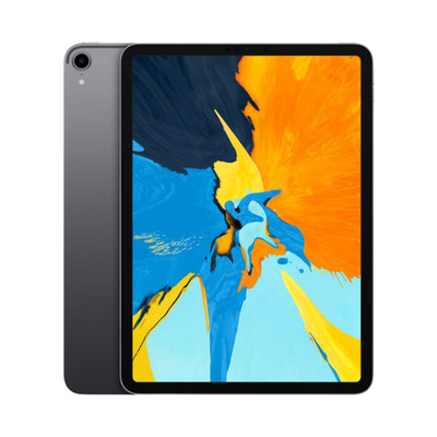 iPad Pro 11-inch (Gen 1)   256GB   Space Gray   Unlocked