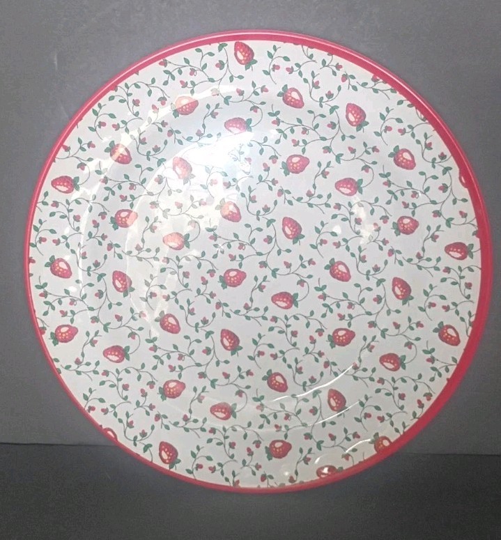 Sur La Table Melamine Large Dinner Plates Strawberry Pattern 11
