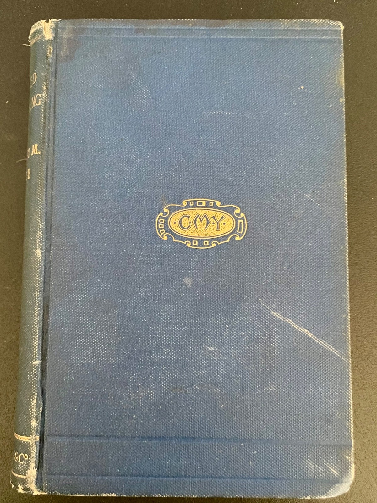 Reputed Changeling 1st Ed, Charlotte M Yonge, Macmillan Victorian Novel