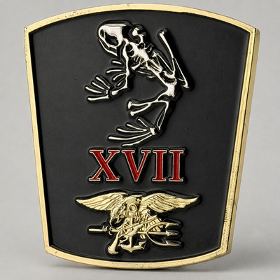 SEAL Team 17 Challenge Coin Navy SEAL Naval Special Warfare NSW XVII Bone Frog