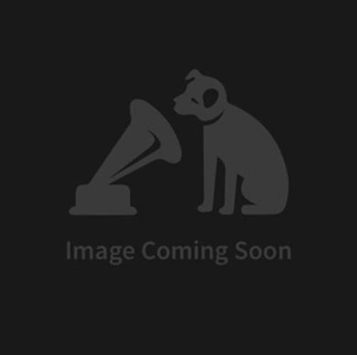 Two and a Half Men: The Complete Second Season [12] DVD Box Set