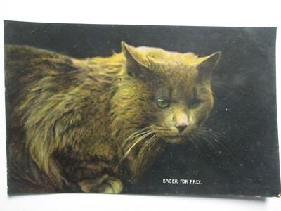 Eifrig auf Beute Vintage Katze Postkarte L18