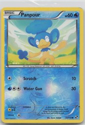 Panpour 33/114 Reverse Holo Black & White Base Set Common