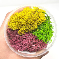 Spezielles Moos - Bunter Mix 1 für Modellbau, Diorama, Eisenbahn Landschaft