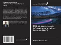 Mathieu Kouamé Ano | Esia En Proyectos De Infraestructura Vial En Costa De...