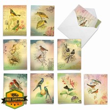 Bird Blank Notecards Boxed Set, 10 Assorted Cards, 4x5.12in