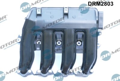 Dr.Motor Automotive DRM2803 Saugrohrmodul für BMW
