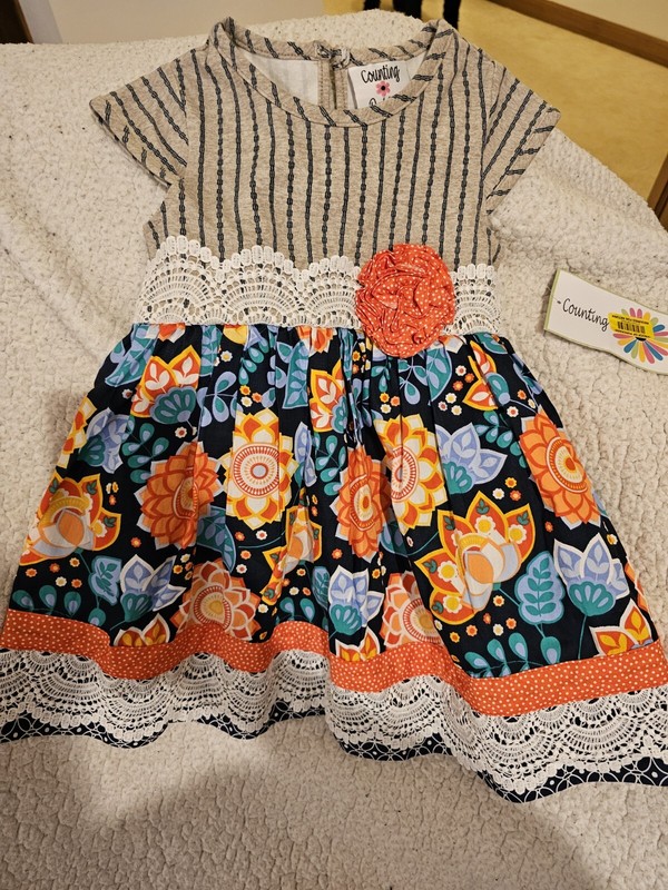 Counting Daisies Size 3T/T Floral Pattern Dress Multi Color Sleeveless Ruffles