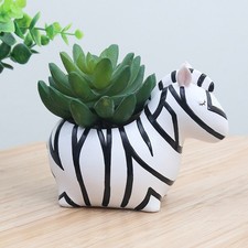  Vasetto Piante Grasse Vaso Pianta Grassa Vasi Da Fiori Decorativi