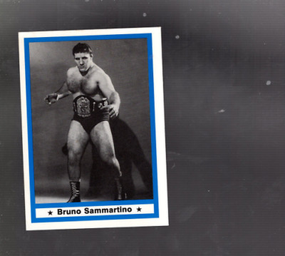 B2667- 1991 Imagine Wrestling Legenden Karten 1-60 -du Pick- 15 + Free US Schiff