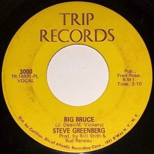Steve Greenberg - Big Bruce (7") (Very Good (VG)) - 4255888806