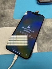 Genuine OEM iPhone 13 Pro Black OLED Replacement Screen Digitizer "Grade C
