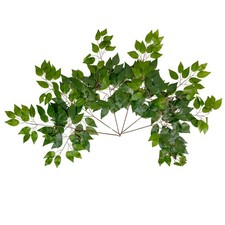 6 Pc Set Artificial Ficus Spray Leaves with Stems, Greenery, Fake Faux Plants...