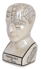 Frenologia Głowa Fowler Popiersie Rzeźba Figurka Anatomia Medycyna Vintage Ceramika Nowa