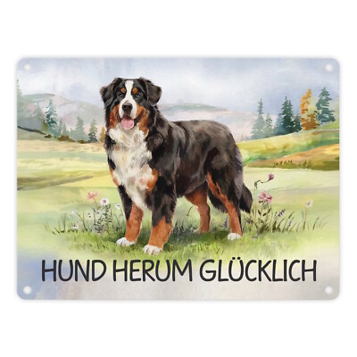 Berner Sennenhund auf der Wiese Metallschild in 15x20 cm mit Spruch Hund herum