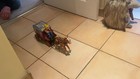 Video 1 von 1