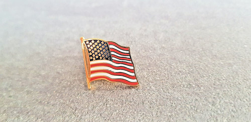 USA Freundschafts Pin -