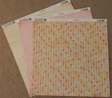 BasicGrey 12x12 Scrapbook Paper Gypsy Collico Dali Migration