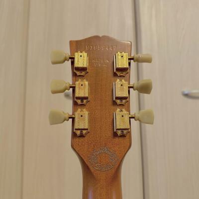 ギブソン Gibson レスポール USA Les Paul Smartwood Gibson Les Paul Smartwood Exotic 1999 - 2002 | Reverb