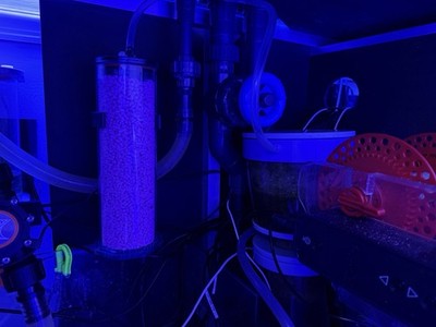 Co2 Schrubberhalsband für Nyos Quantum 160 Skimmer