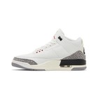 Jordan Air Jordan 3 Mid Top Leather Elephant Print Lace-Up Basketball Sneaker — photo 3