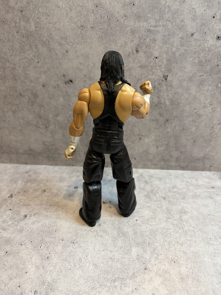 Jeff Hardy Deluxe Aggression Series 21 Matt Hardy Series 19 | eBay