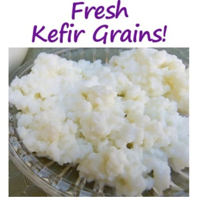 #ad #ad Kefir Grain From Organic Milk búlgaros 1 Teaspoon $12.00