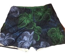 NWT Men  s Joe Boxer Swimming Trunks. XXL Blue And Green.