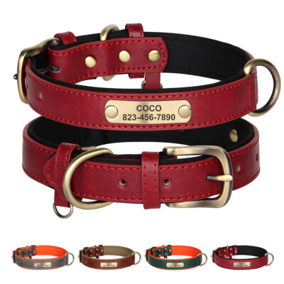 Hundehalsband Leder Hund Welpe Halsband Personalisiert mit Namen Gravur  XS-XL | eBay.de