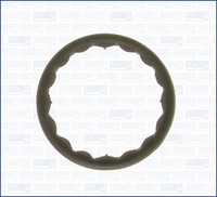 Dichtung SteuergehäUse Ajusa 01013600 FüR Nissan Primera P11 Almera 2 Hatchback