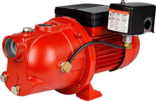 Red Lion Cast Iron Shallow Well Jet Water Pump, 864 GPH, 3/4 HP, 1 1/4in.